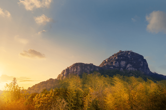 狮子山下,共鉴岁月光辉