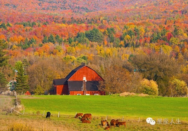 你的星座属于哪个季节 你的星座能量是阴性还是阳性的 下 星座频道 手机搜狐