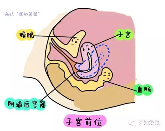 女人能不能怀孕?医生是这么判断的