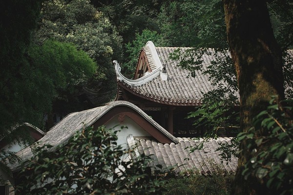 阿弥陀佛,罪过罪过.