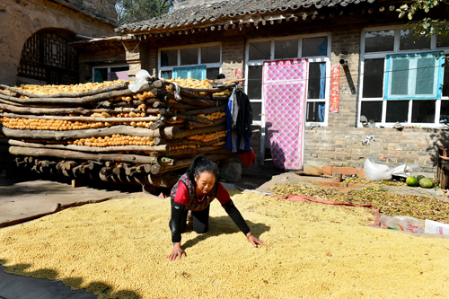 勤劳善良的土家族媳妇
