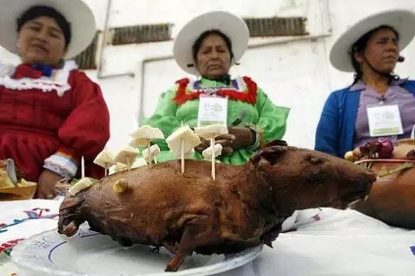 豚鼠遇到秘鲁人就过节 美食频道 手机搜狐