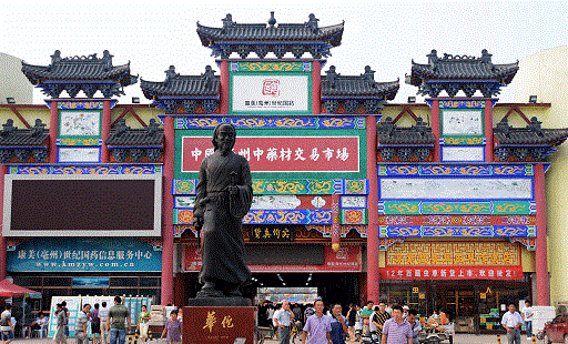 亳州市副市长侯化:天下药房,老子故里