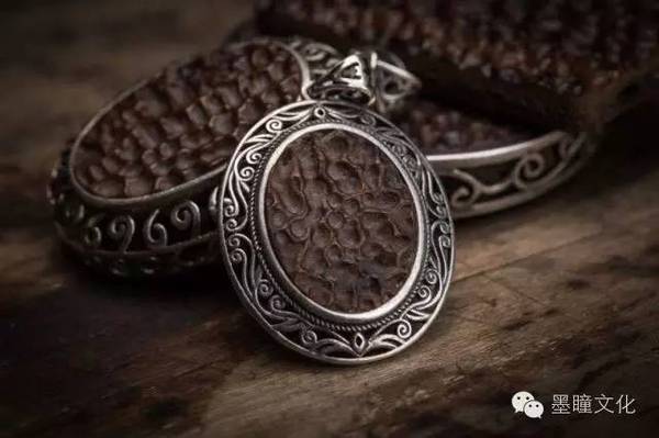 奇物珍品:六朝鼋甲