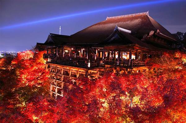独家 越夜越美丽 京都秋日的另一种 枫 情 旅游频道 手机搜狐