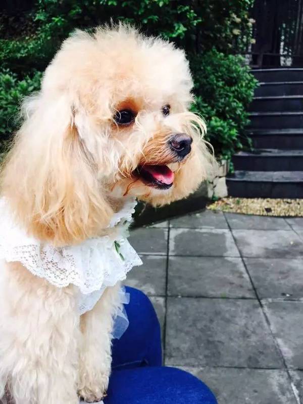 3299元起|每周特价大放送,塞班自由行&南极迎春游抢到就是赚到