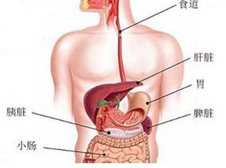 5种症状告诉你 你的肝有问题了 健康频道 手机搜狐
