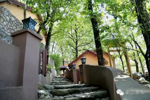 衢州蓝庭卧龙山庄-养心谷,穹顶之下,清肺之地
