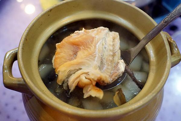【河豚干萝卜汤】河豚本来味道就很鲜,加点萝卜一起煮,小心鲜得吞掉了