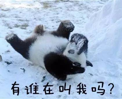 传说,比下雪更好看的是南方人看到雪.
