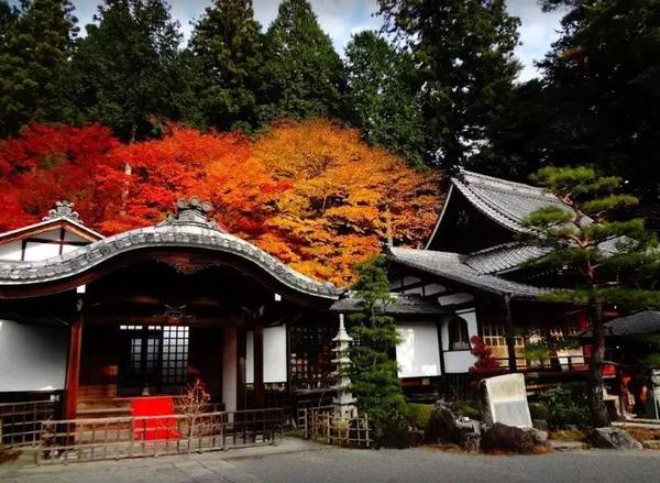 日本这5处天皇御用温泉 才是全国品质标杆 旅游频道 手机搜狐