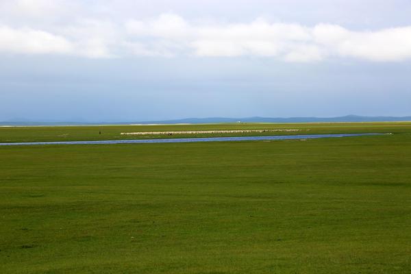 爱上钓鱼就来鸿雁湖吧,内蒙古的野生大鲤鱼