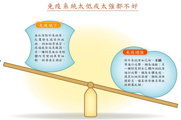 免疫系统防毒利器 为健康把关 健康频道 手机搜狐