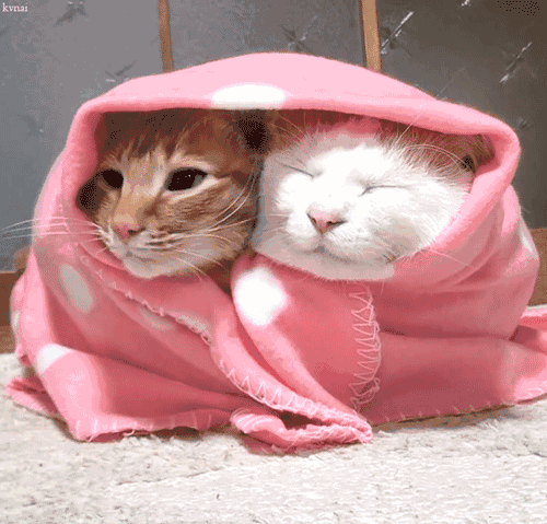 天冷了,别忘了给家人送去这份暖心的.