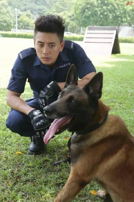警匪剧来了!黄宗泽参演《飞虎极战》做飞虎 将大晒肌肉?