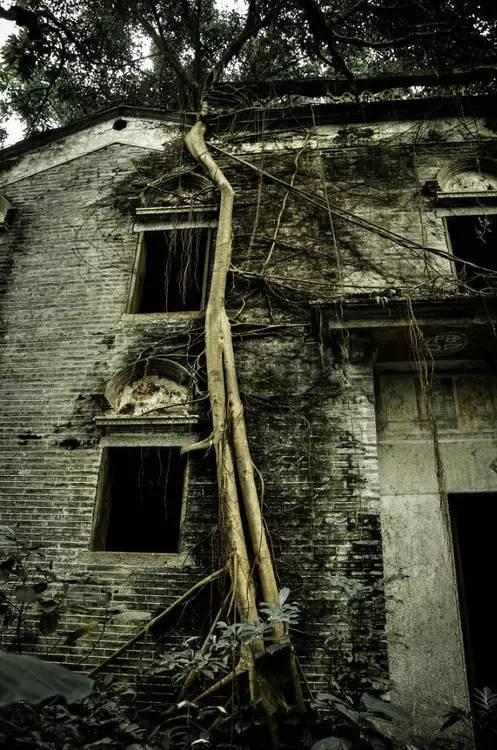 七星岩里的星岩宾馆,曾留有多少人的回忆,如今破败.