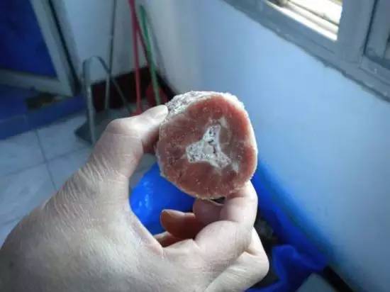 (假牛尾横截面)