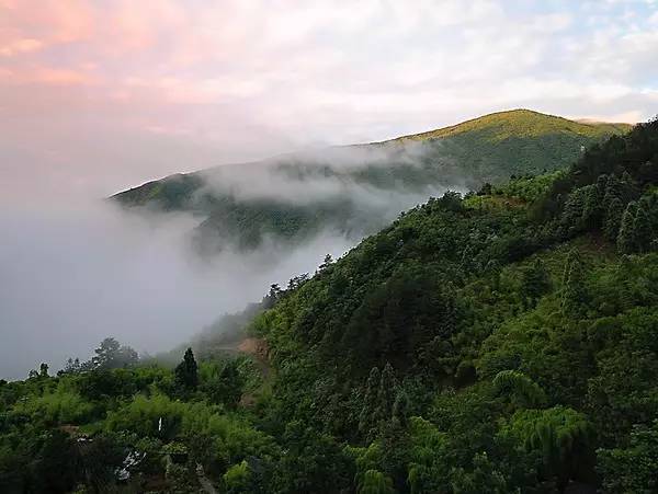 天目山景区