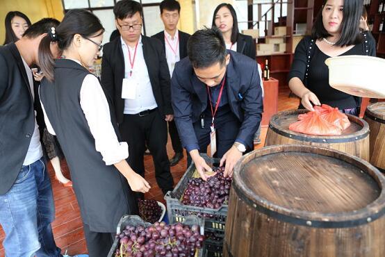 市民体验酿造葡萄酒:选择果实