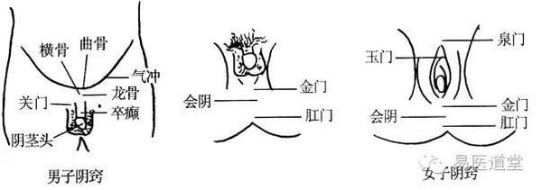 医日一动---补肾助兴操:远离性欲低下