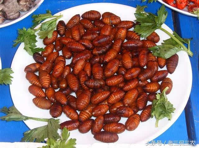 它不就是蛆吗?蛆也敢吃?我就觉得恶心,真心不