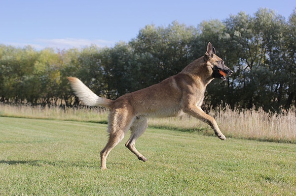 [湄公河行动]炒作or口碑?资源已出,自己看后评价