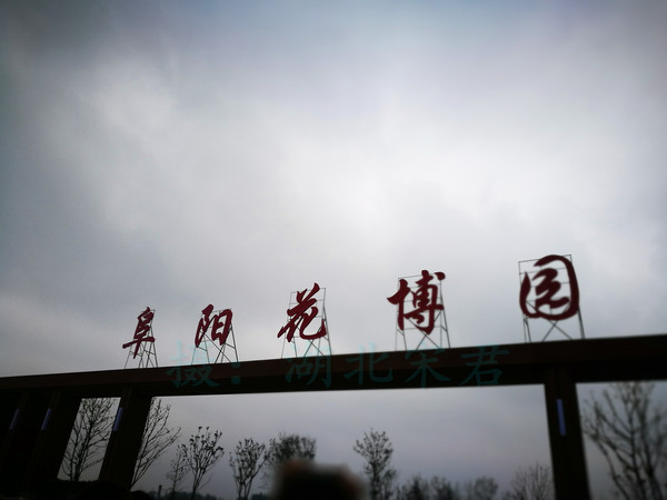 阜阳:幸福像花儿一样绽放