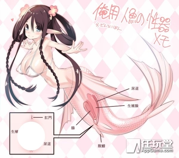 最后,音音丸整理出了3种18x漫画最常看到的人鱼下半身画法,分别是: 1