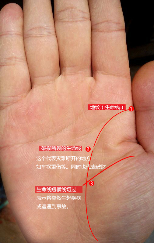 最好的生命线是什么样子 星座频道 手机搜狐