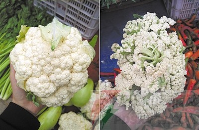 菜市场的 有机花菜 是松花菜假冒 并非有机蔬菜 新闻频道 手机搜狐