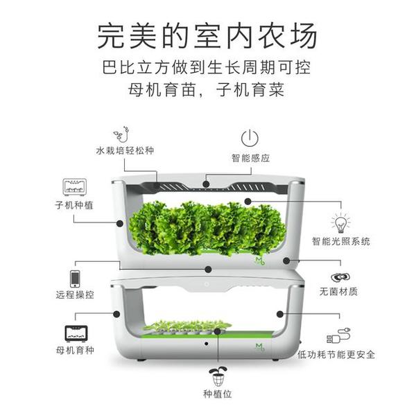 菜市场的 有机花菜 是松花菜假冒 并非有机蔬菜 新闻频道 手机搜狐