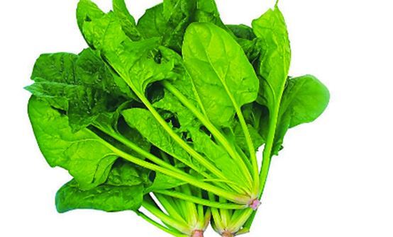 金钱癣不能吃什么 找对方法快治愈 健康频道 手机搜狐