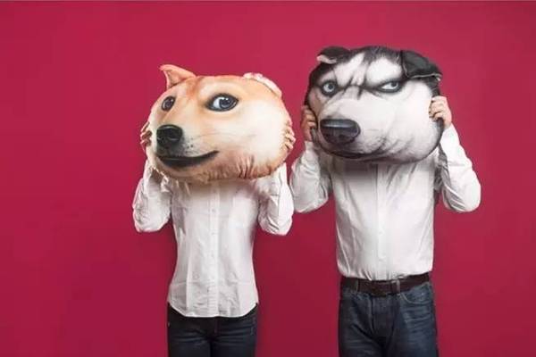 不甘心!我就要把结婚证件照玩成表情包.jpg-时