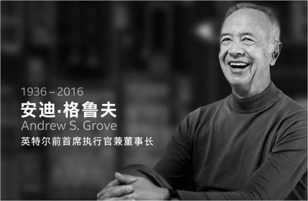 盖茨,偏执狂安迪?格鲁夫的传奇一生