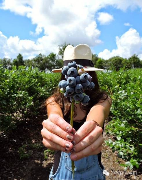 专属维密超模的减肥方法?健康减脂见效快!
