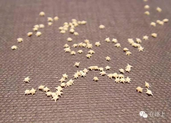 粉色沙滩刷爆朋友圈 你见过五颜六色的沙滩么