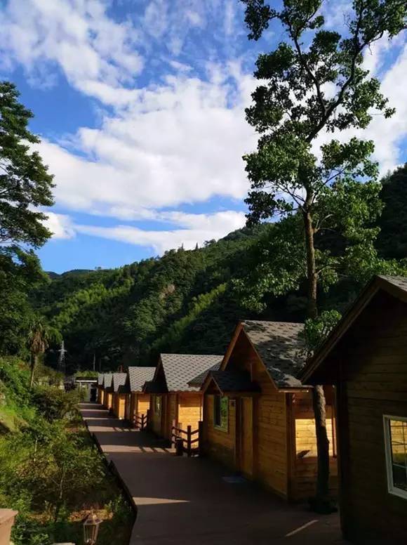 鄞州章水镇李家坑村:香榧谷联排小木屋 山林满眼绿,鸟鸣啾啾声,溪水