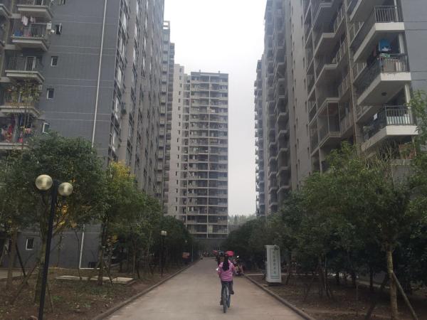 渠县相亲：新时代下的爱情征途
