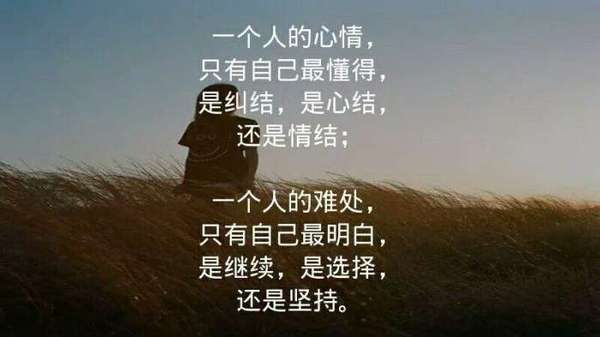 是我错了吗 是我错了吧 新闻频道 手机搜狐