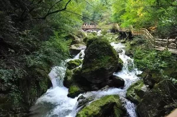 門票通票價格(含神農頂,大九湖,官門山,神農壇,天生橋,天燕6景區): 夏