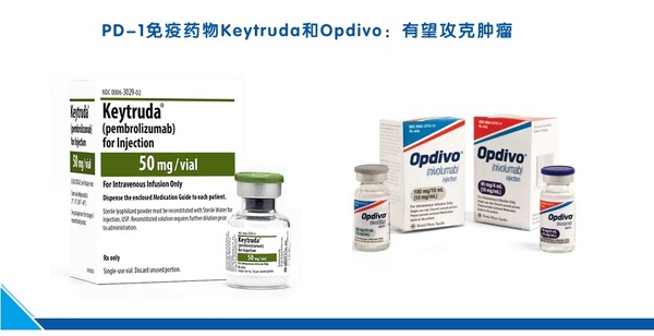 肺癌患者 易瑞沙 特罗凯 妥复克耐药后怎么办 健康频道 手机搜狐