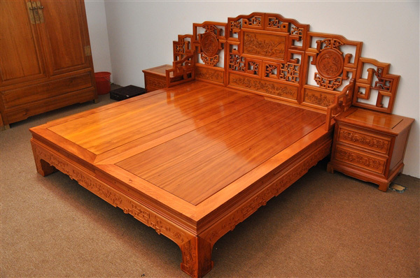 想不到你是这样的红豆杉