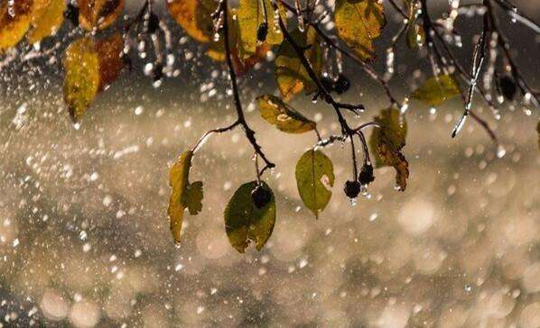 走在冷雨中享用它的无情!