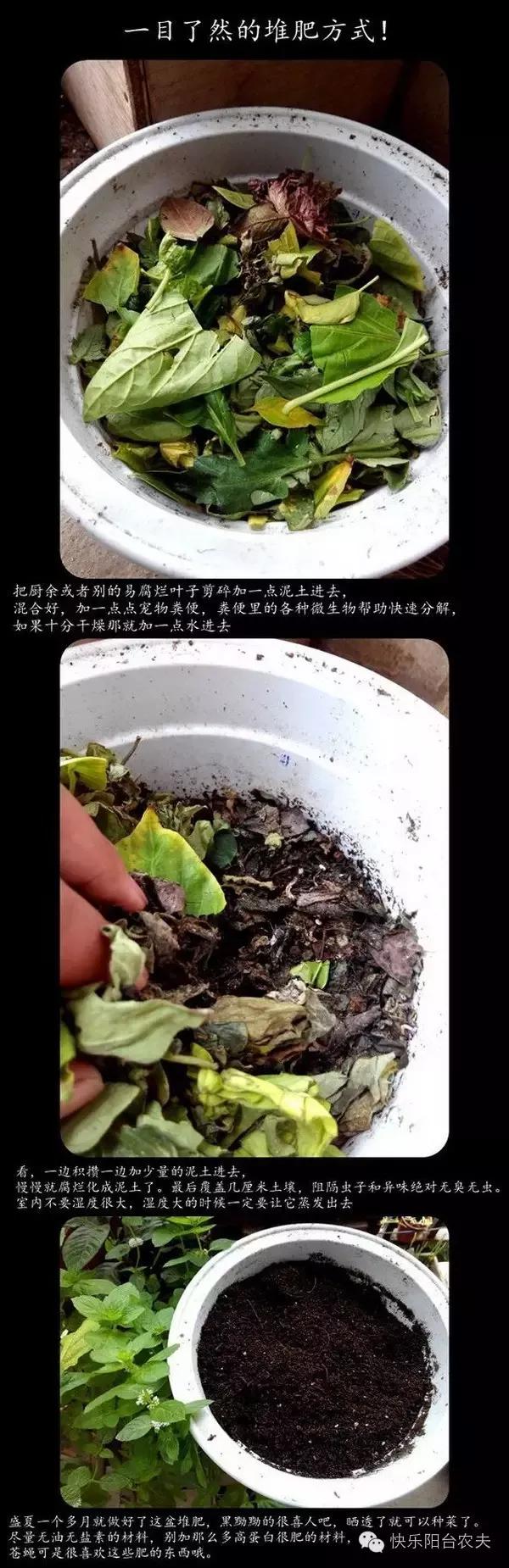 一张图学会做堆肥,就是这么简单!