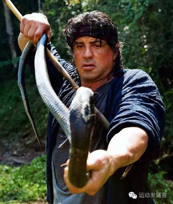 魂斗罗原型到底是谁?史泰龙和施瓦辛格已经神合体