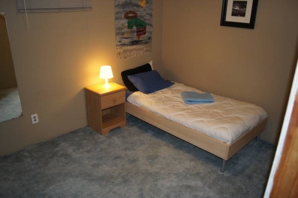 却因为各种影视作品的影响而一厢情愿得美化资本主义社会,觉得美国人