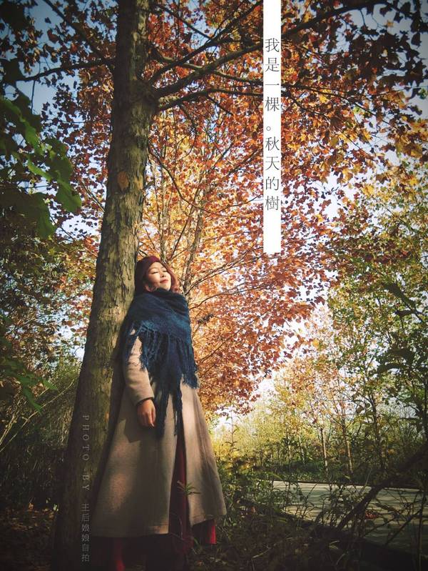 全身紧贴着一颗笔直的树,脸朝着光的方向看,任凭阳光透过树影,形成你