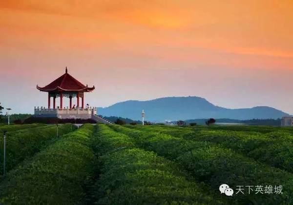 冷凍後的春天,親子游玩團帶你去鳳凰溝!