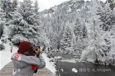 台湾旅行商来天池了 旅游频道 手机搜狐