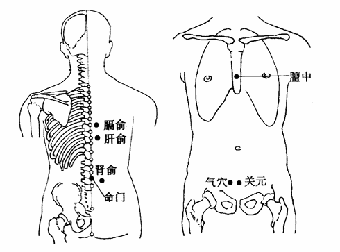 补肾,补脾能够挑选肾俞,脾俞,命门.
